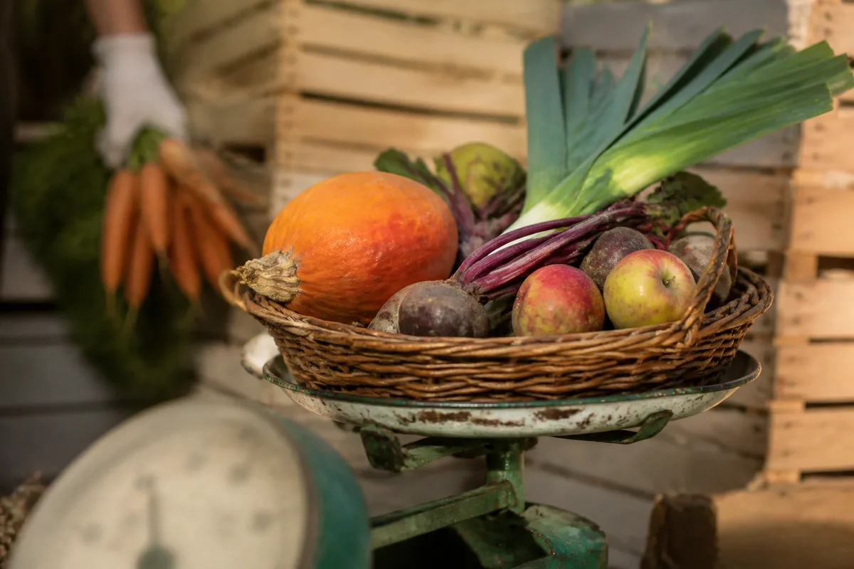 Panier de légumes de saison posé sur une balance de distribution avec cagettes en arrière-plan